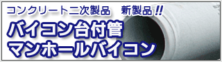 �o�C�R��