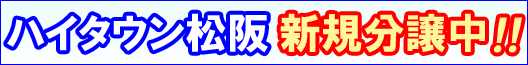 �n�C�^�E�����㕪����